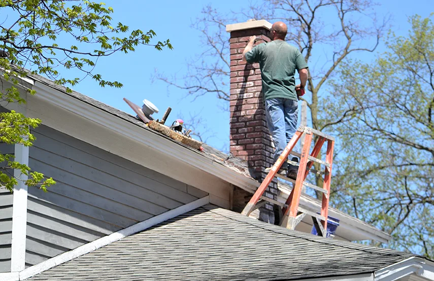 Chimney & Fireplace Inspections Services in Paradise, NV